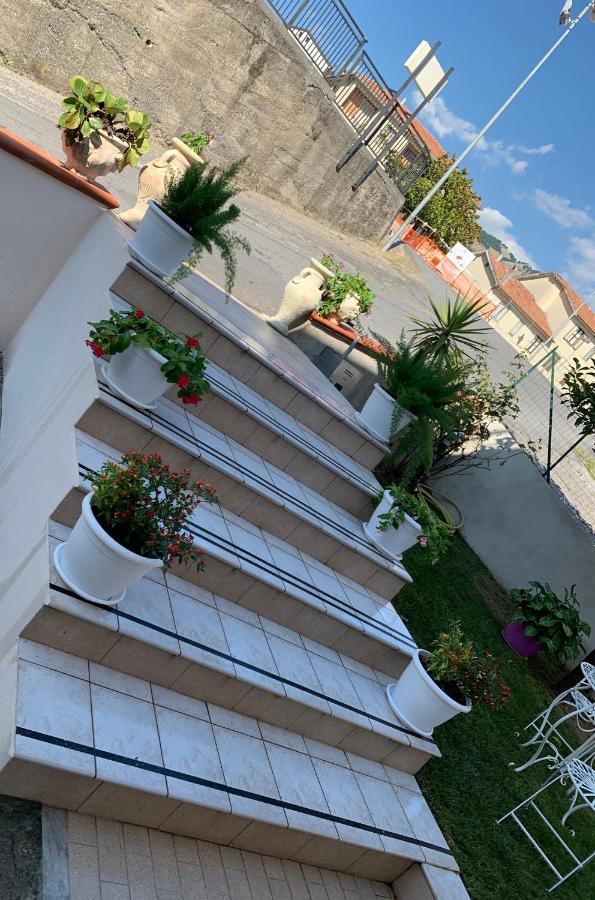 B&B Villa Pignataro Verbicaro Экстерьер фото